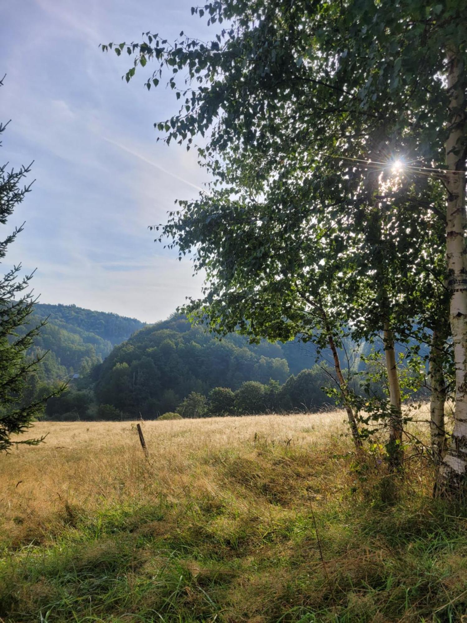 Forest Camp Dom W Gorach Sowich Michalkowa Exteriör bild